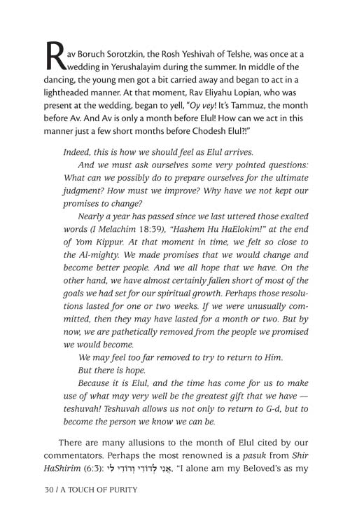 Artscroll: A Touch of Purity by Rabbi Yechiel Spero