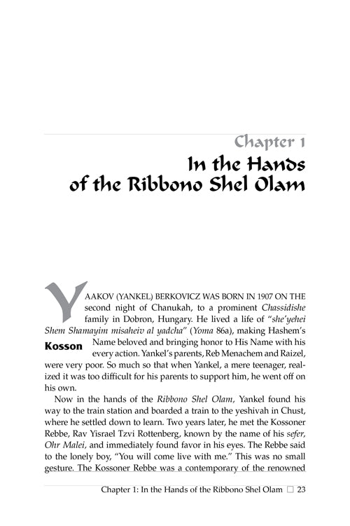 Yedidi - Rabbi Shmuel Berkovicz