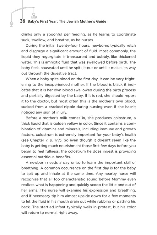 Baby’s First Year: The Jewish Mother’s Guide