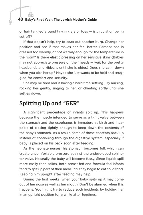 Baby’s First Year: The Jewish Mother’s Guide