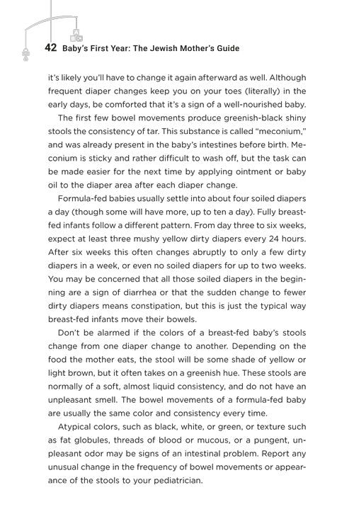 Baby’s First Year: The Jewish Mother’s Guide