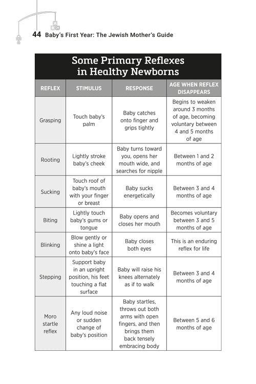 Baby’s First Year: The Jewish Mother’s Guide