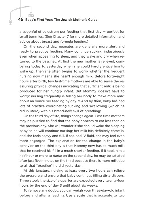 Baby’s First Year: The Jewish Mother’s Guide