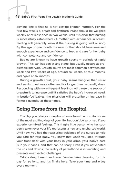 Baby’s First Year: The Jewish Mother’s Guide