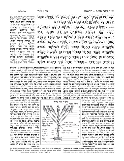 חומש מרובע ארטסקרול בינוני