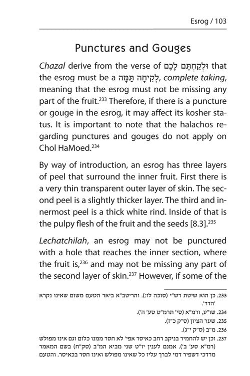 Halachic Handbook: The Laws of the Succah and Four Species Pocket Size Paperback