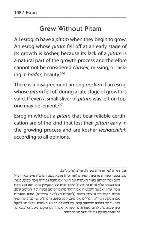 Halachic Handbook: The Laws of the Succah and Four Species Pocket Size Paperback