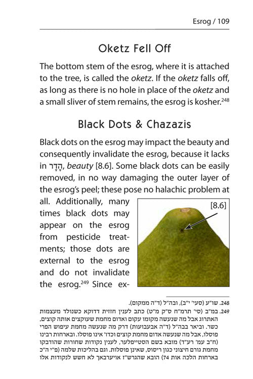 Halachic Handbook: The Laws of the Succah and Four Species Pocket Size Paperback