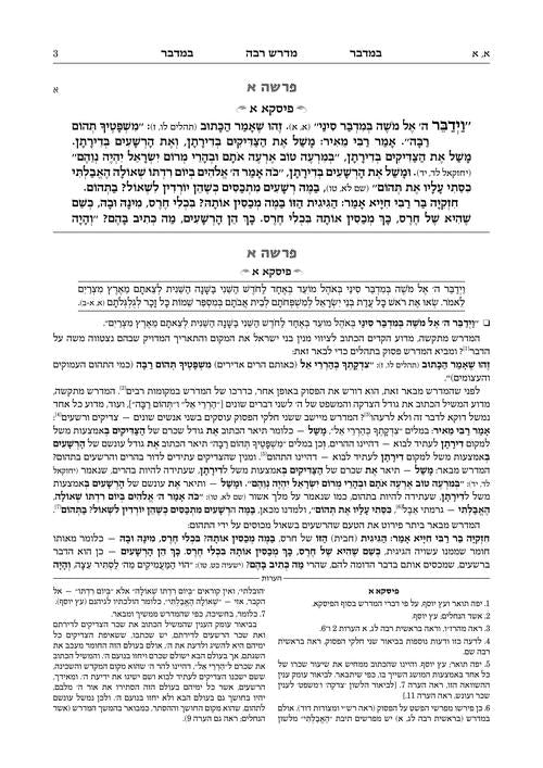 מדרש רבה במדבר א' במדבר-נשא (א) ארטסקרול