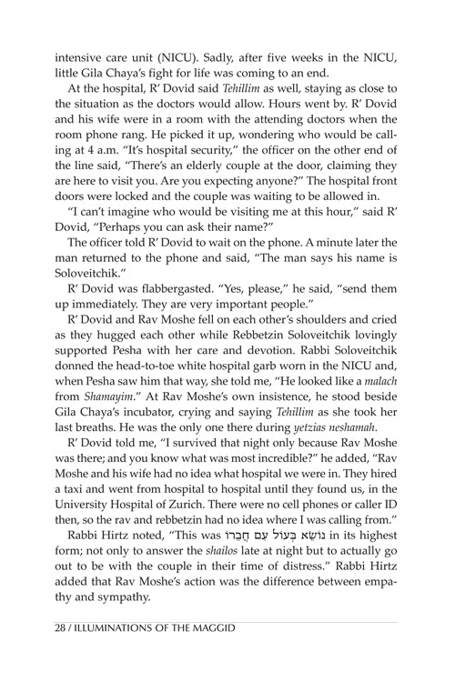 Illuminations of the Maggid