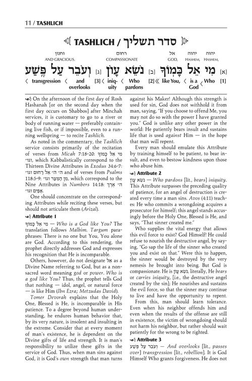 The Schottenstein Edition Interlinear Tashlich Paperback