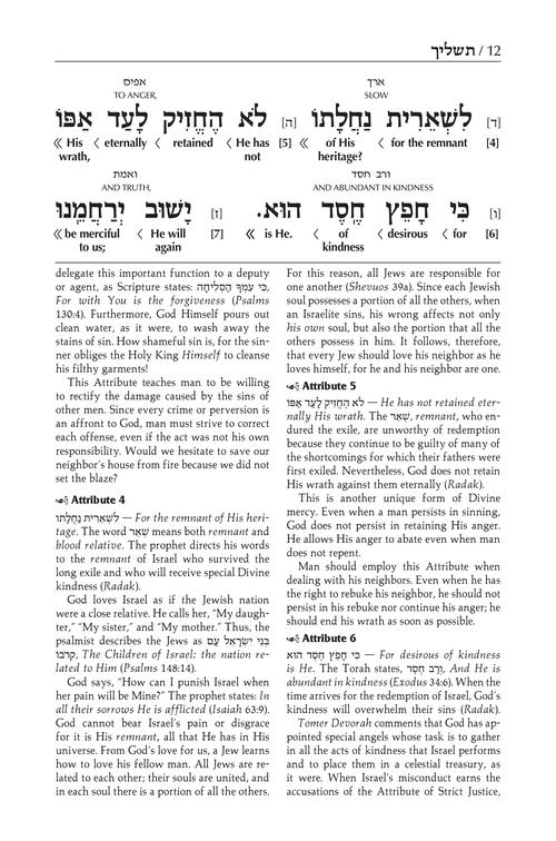 The Schottenstein Edition Interlinear Tashlich Paperback