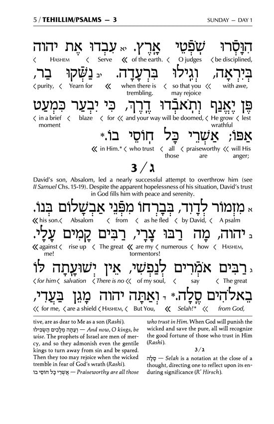 Interlinear Tehillim Full-Size Schottenstein - Glacier Grey Signature Leather Collection