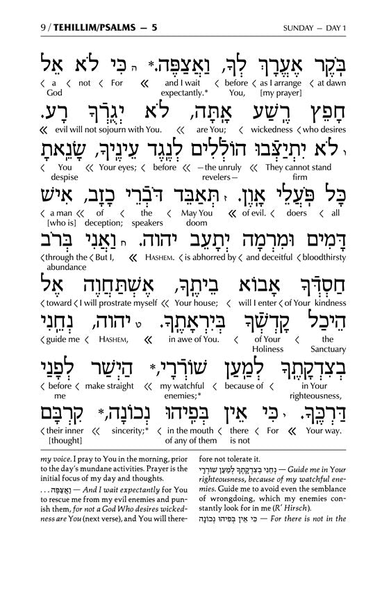 Interlinear Tehillim Full-Size Schottenstein - Glacier Grey Signature Leather Collection