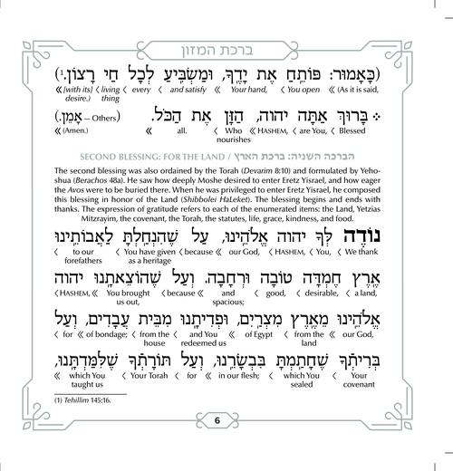 Schottenstein Ed Interlinear Hardcover Faux Leather Zemiros in Lucite Case (6 vol) - Grey