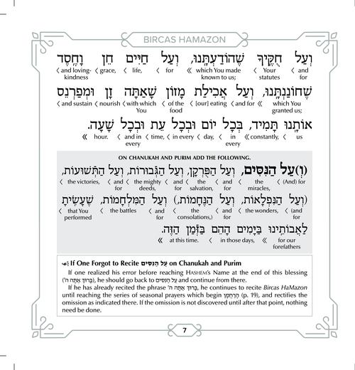 Schottenstein Ed Interlinear Hardcover Faux Leather Zemiros in Lucite Case (6 vol) - Grey