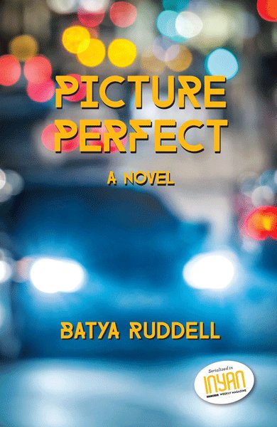 Picture Perfect - Novel P/b