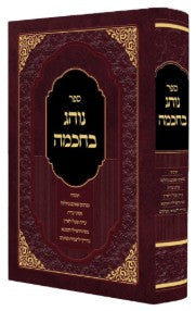 נוהג בחכמה תוקף מנהג בהלכה