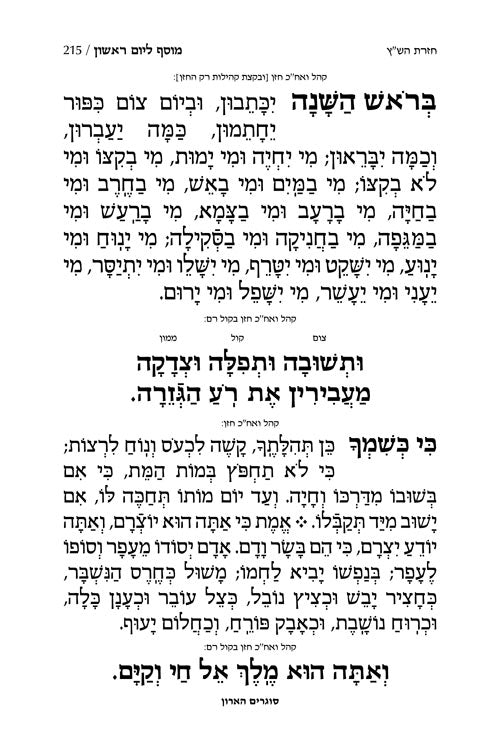 מחזור ארטסקרול לשליח ציבור ראש השנה אשכנז-הוראות באנגלית