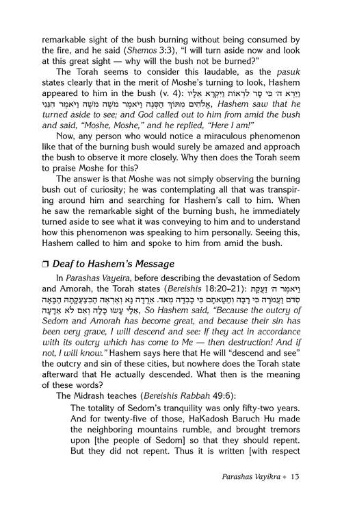 Rav Druck on Chumash - Vayikra