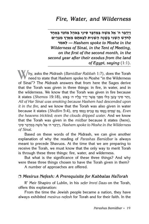 Rav Druck on Chumash - Bamidbar