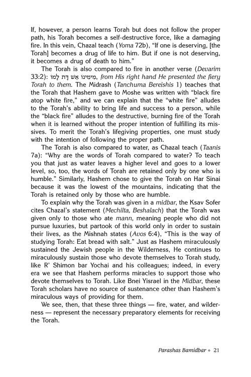 Rav Druck on Chumash - Bamidbar
