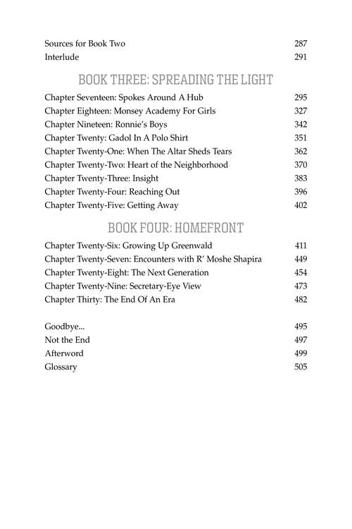 Ronnie - Extraordinary Life of Rabbi Ronnie Greenwald