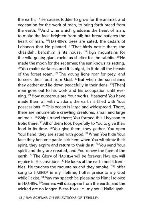 Rav Schwab on Selections of Tehillim