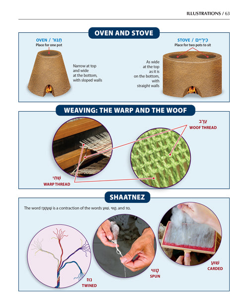 Book of Torah Timelines Enlarged Size, Charts and Maps - H/b