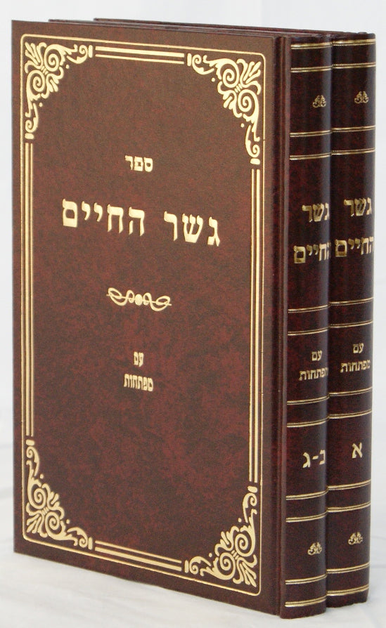 גשר החיים על הלכות אבילות ב' כרכים