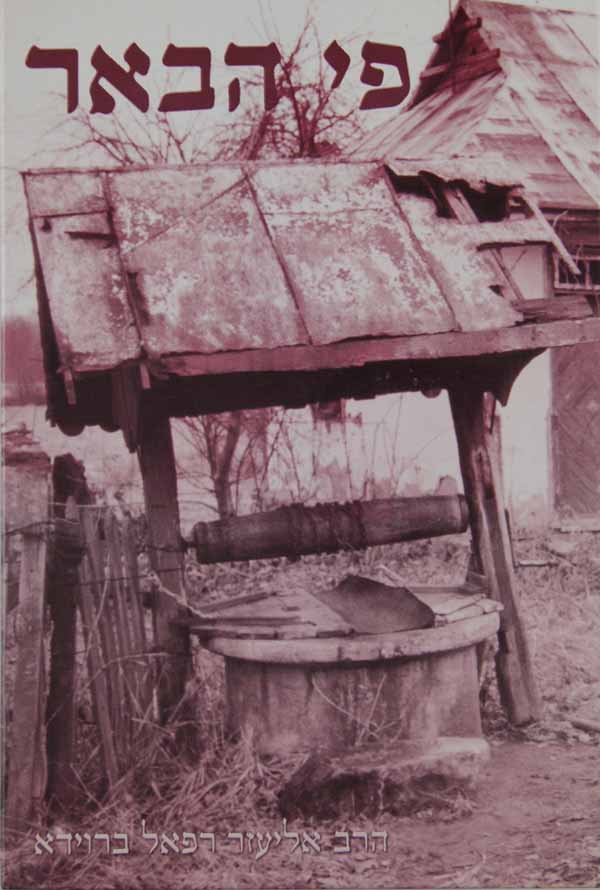 פי הבאר משלים ביאורים ורעיונות לפי סדר הפרשיות