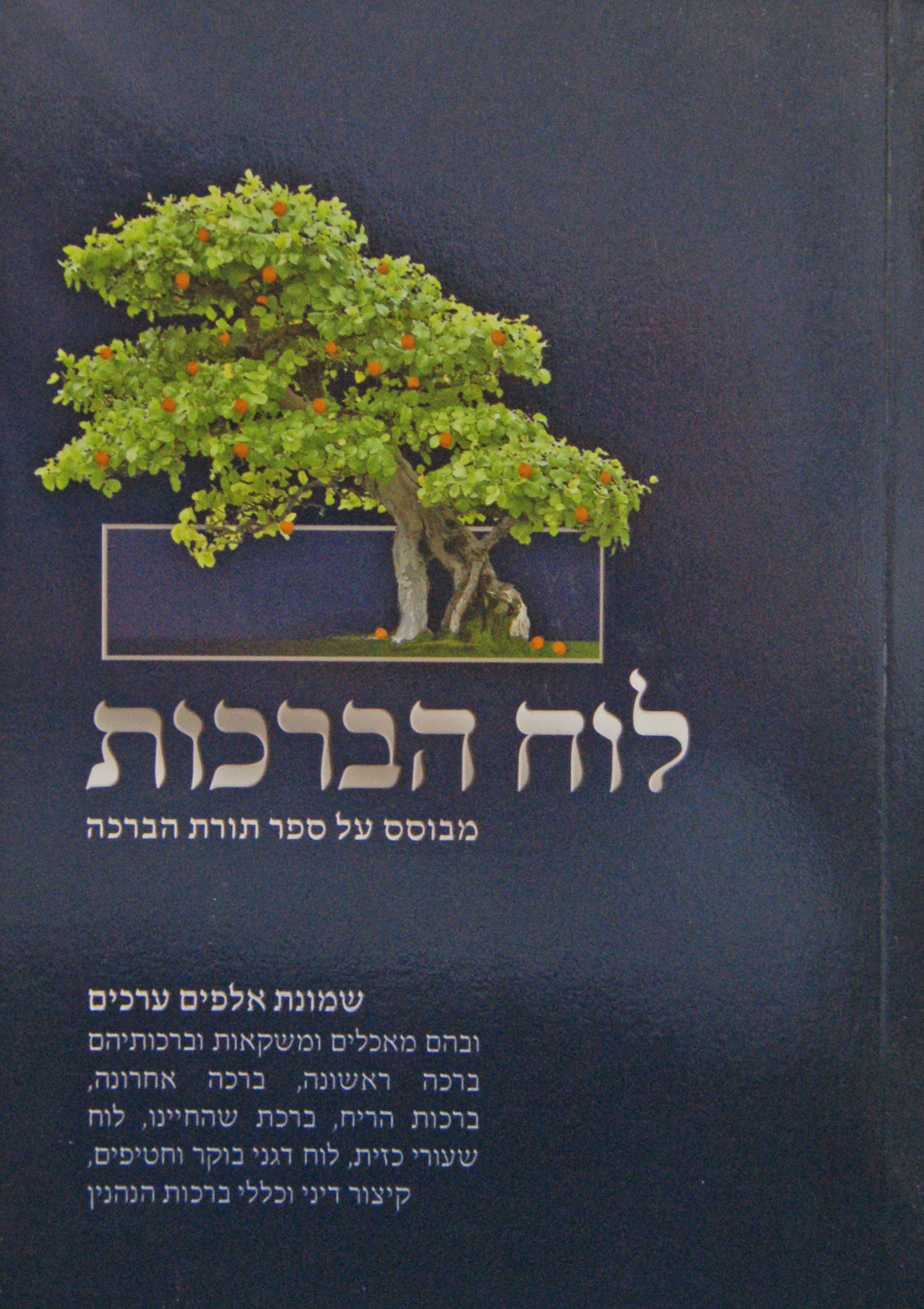 לוח הברכות - מבוסס על ספר תורת הברכה בינוני רכה