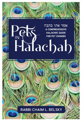 Pets in Halachah