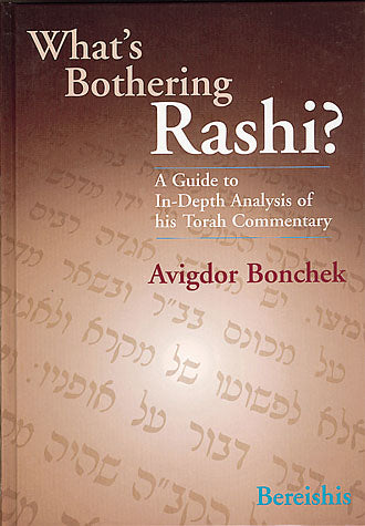 What's Bothering Rashi?: Bereishis