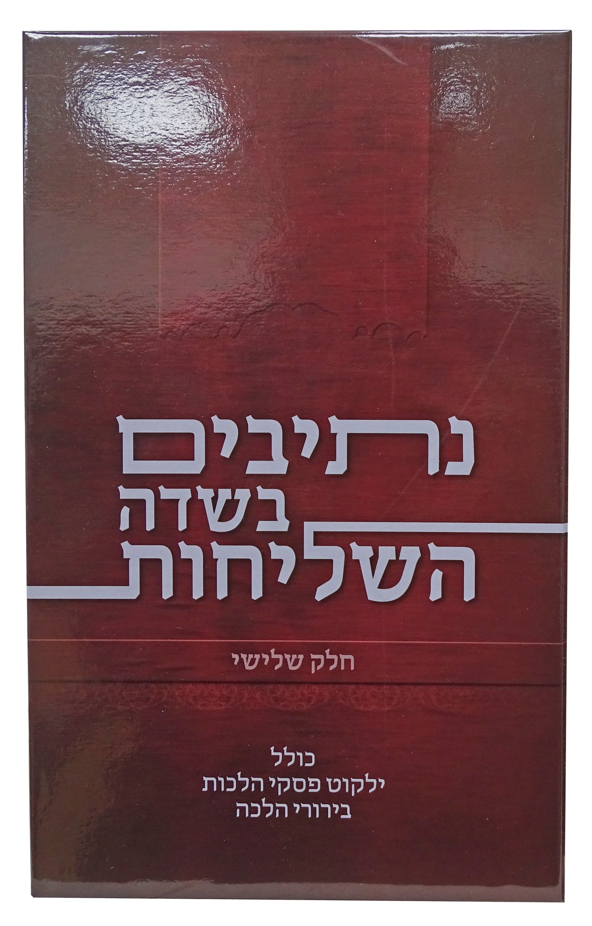 נתיבים בשדה השליחות חלק שלישי