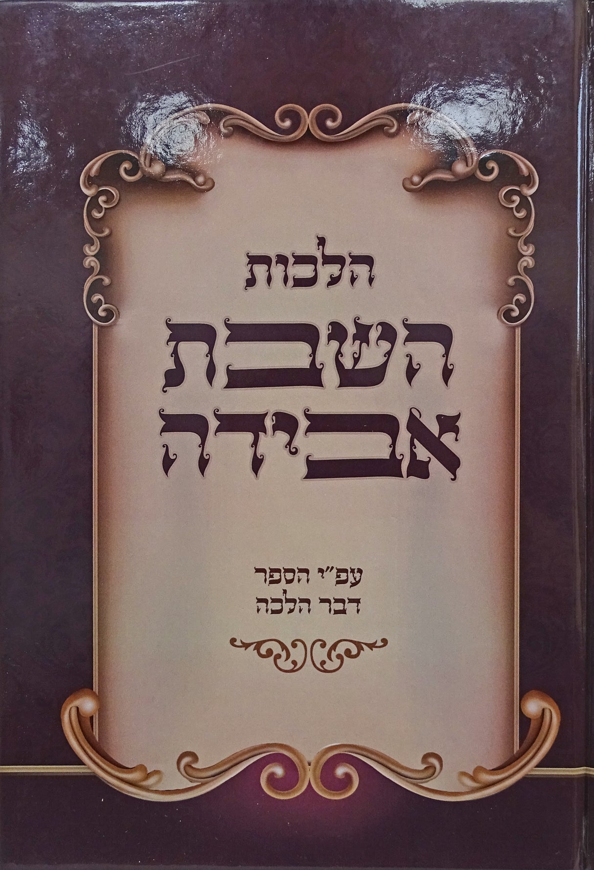 הלכות השבת אבידה