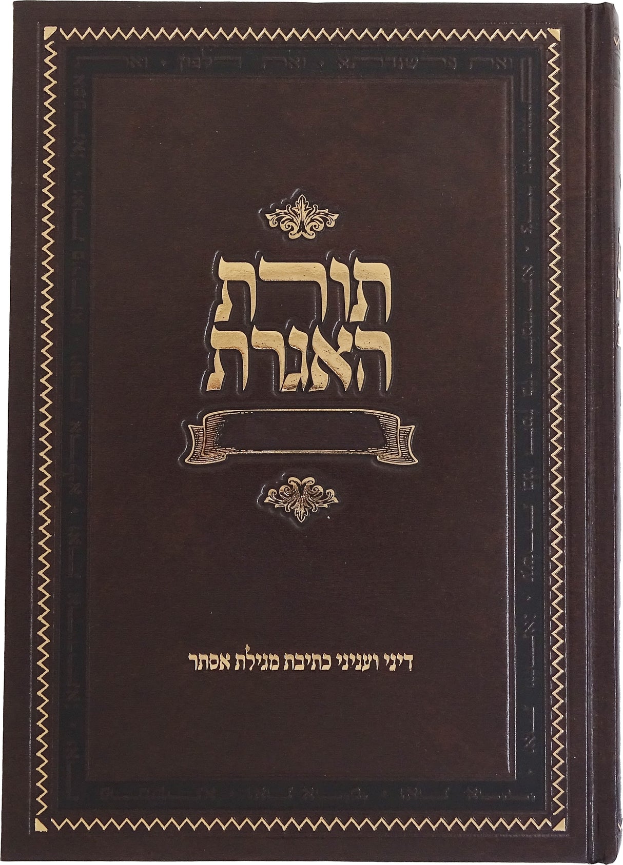 תורת האגרת - דיני ועניני כתיבת מגילת אסתר