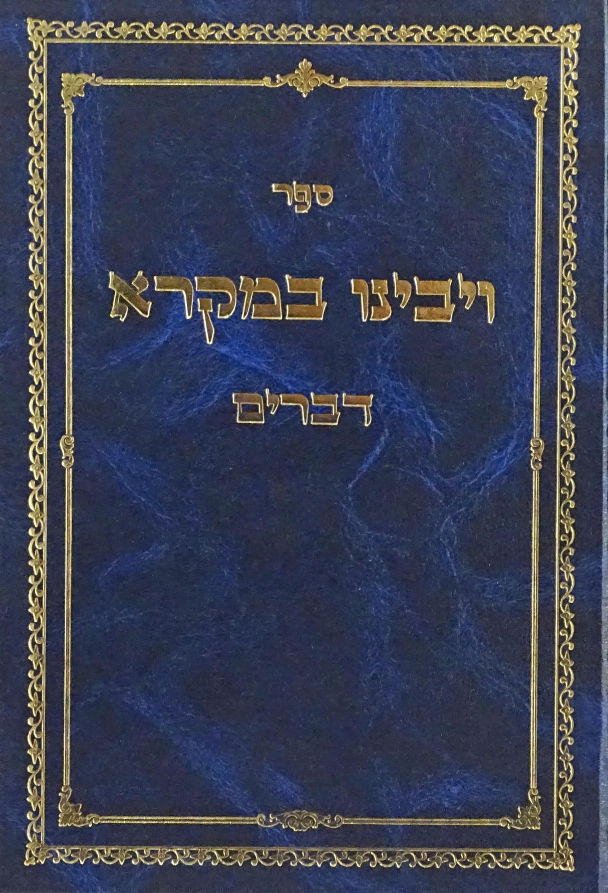 ויבינו במקרא - דברים