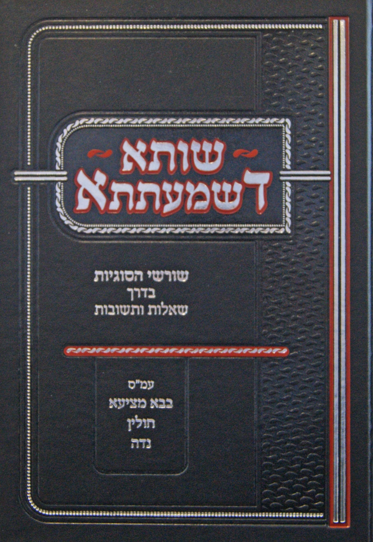 שותא דשמעתתא - בבא מציעא/חולין/נדה