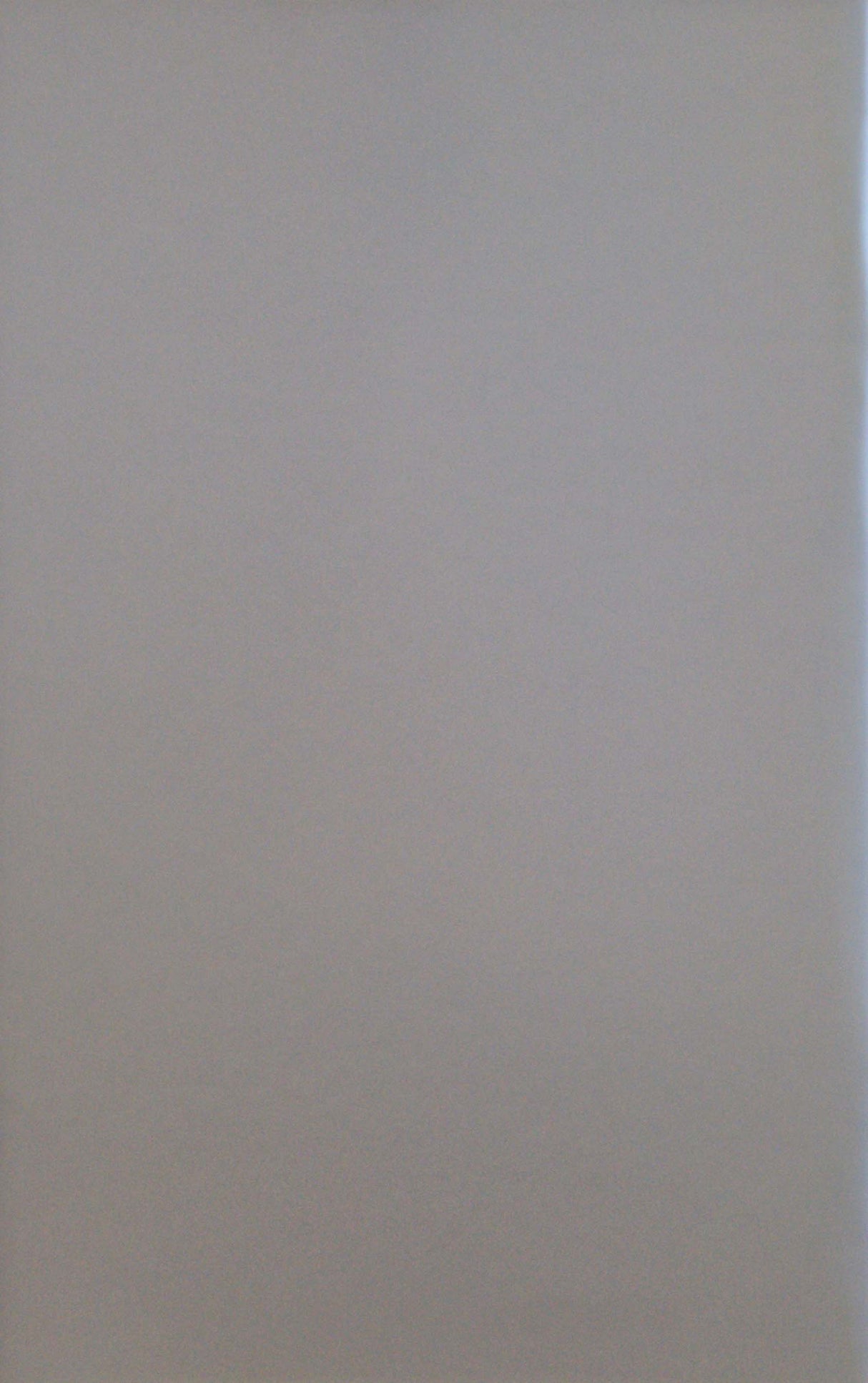 The Family Zemiros - White Cover