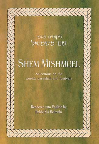Shem MiShmuel - by the Sochatchover Rebbe