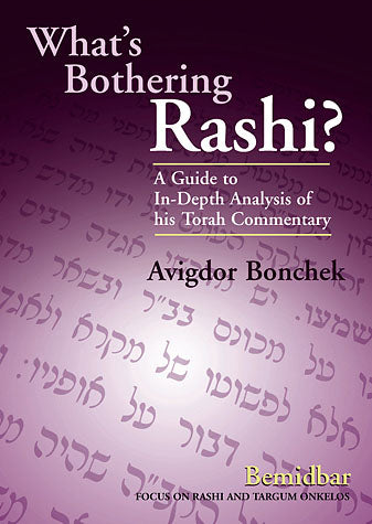 What's Bothering Rashi?: Bamidbar