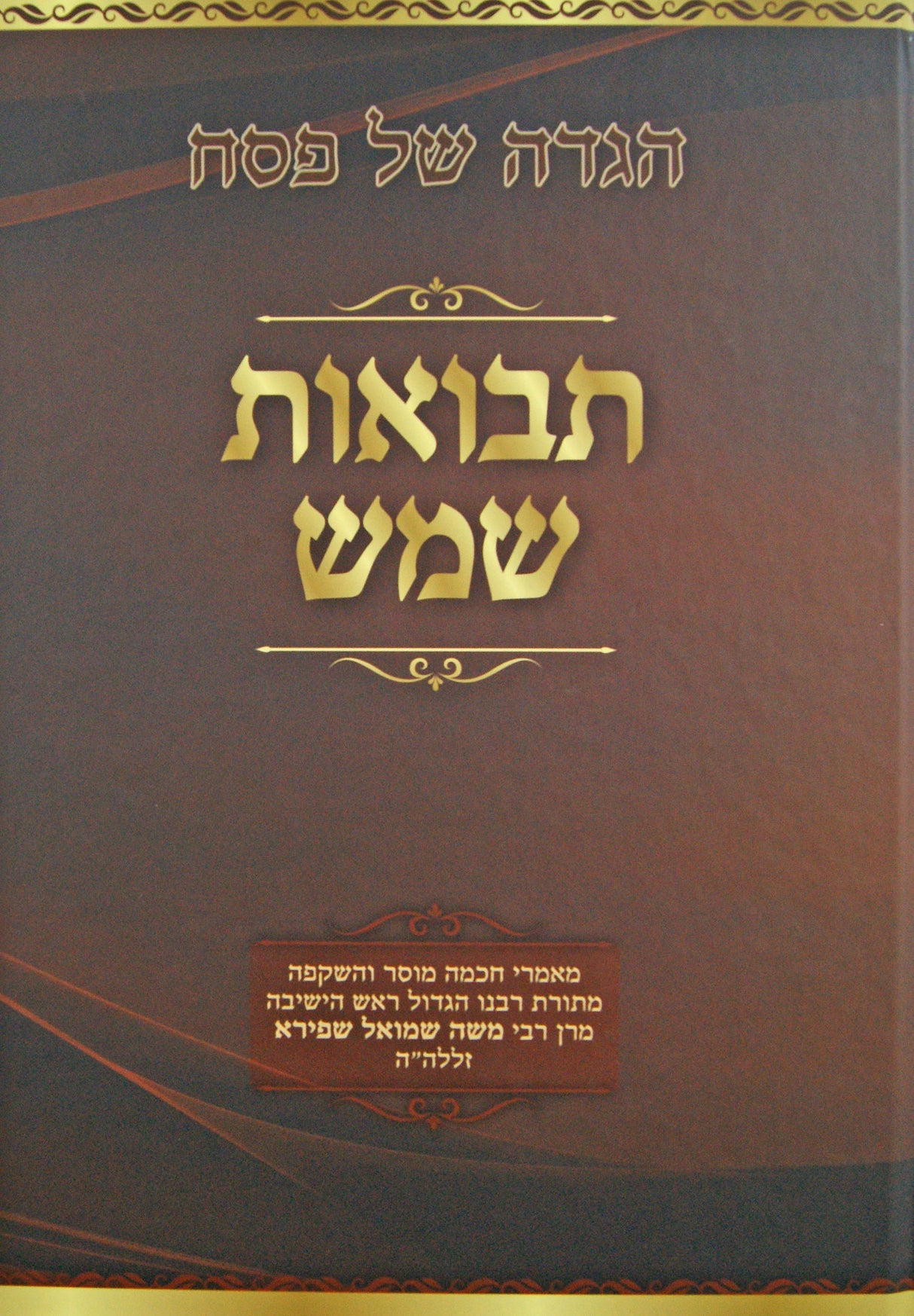 הגדה תבואות שמש