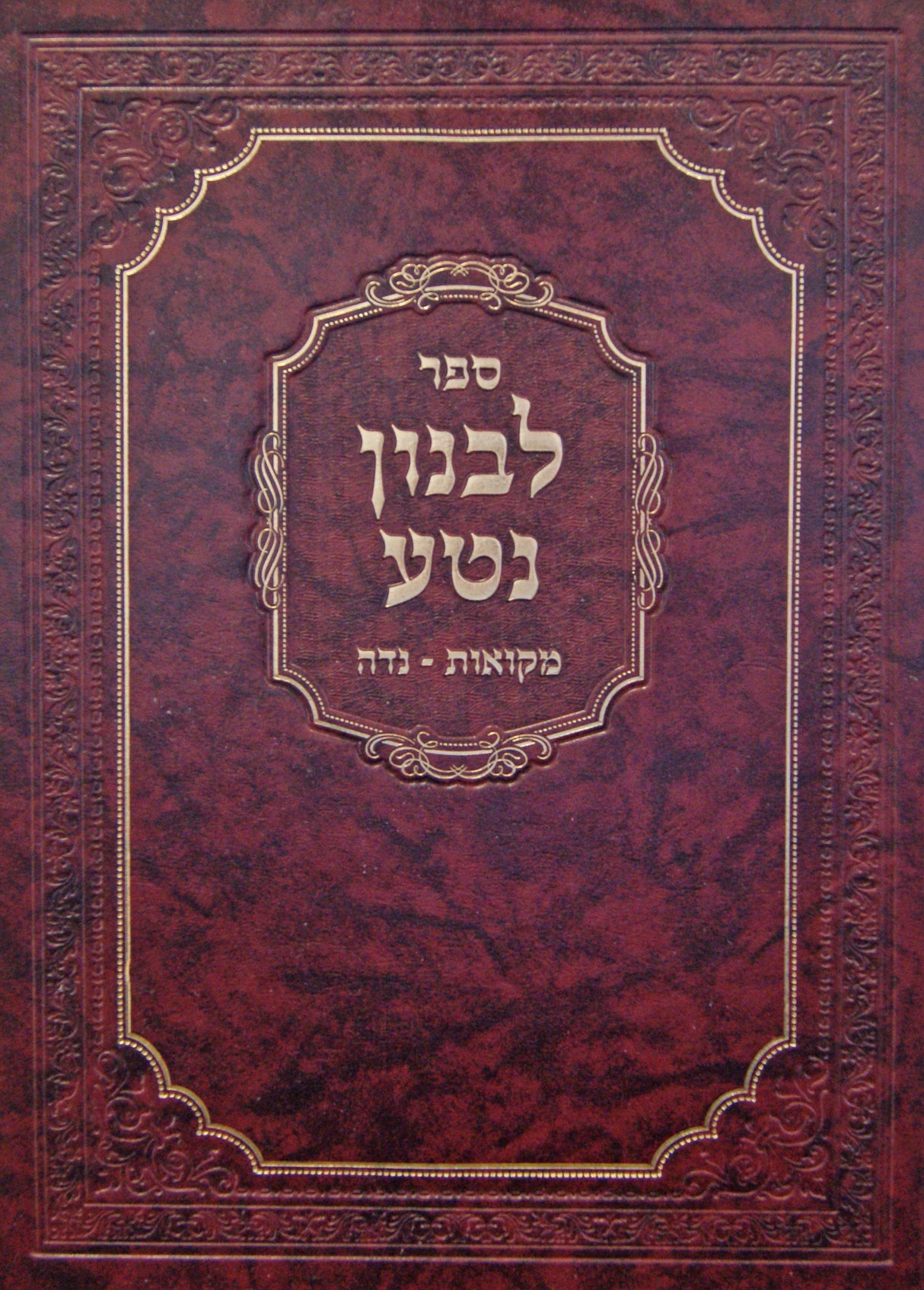 לבנון נטע - מקואות נדה