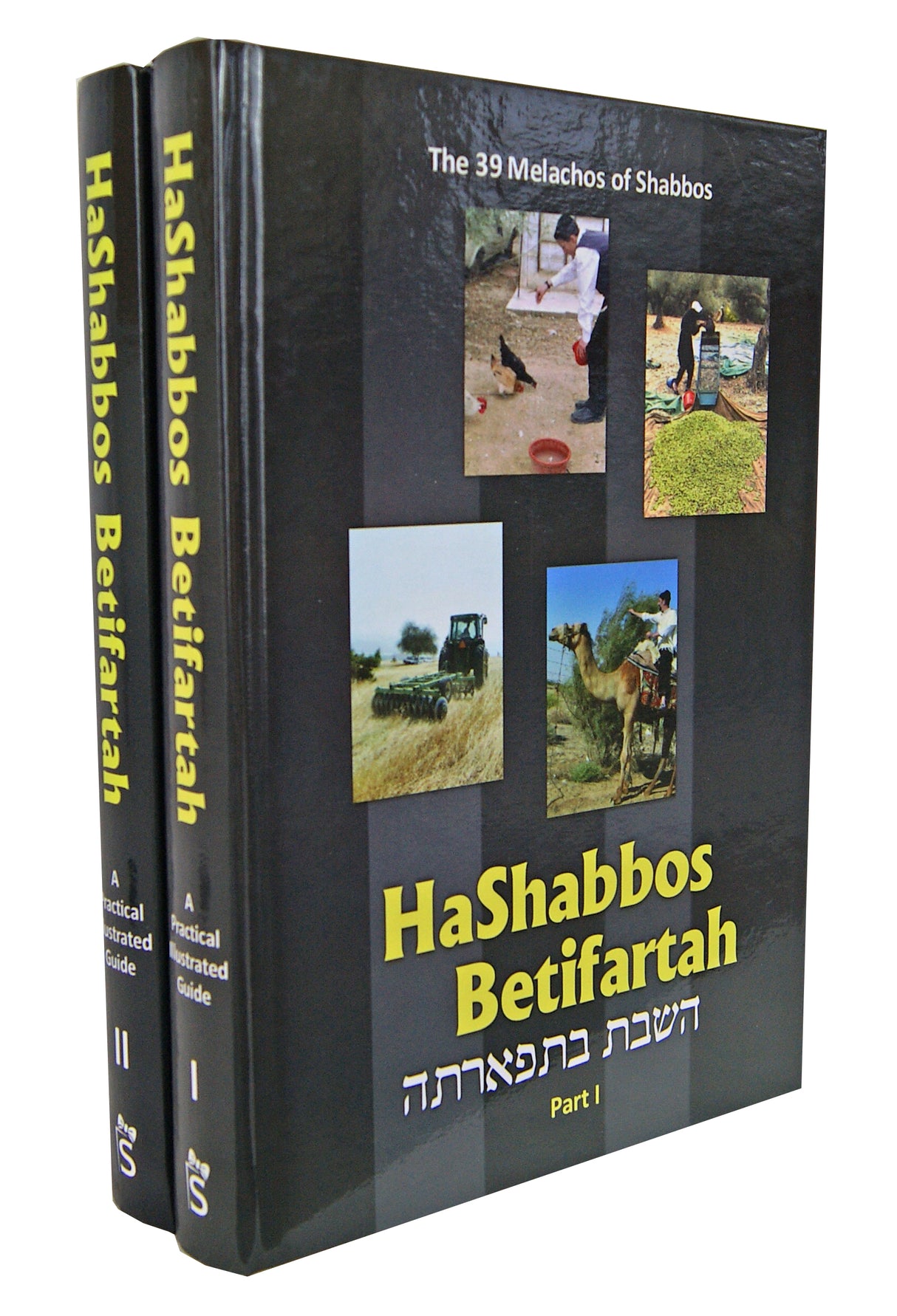 HaShabbos Betifartah 2 Volumes - Practical Illustrated Guide