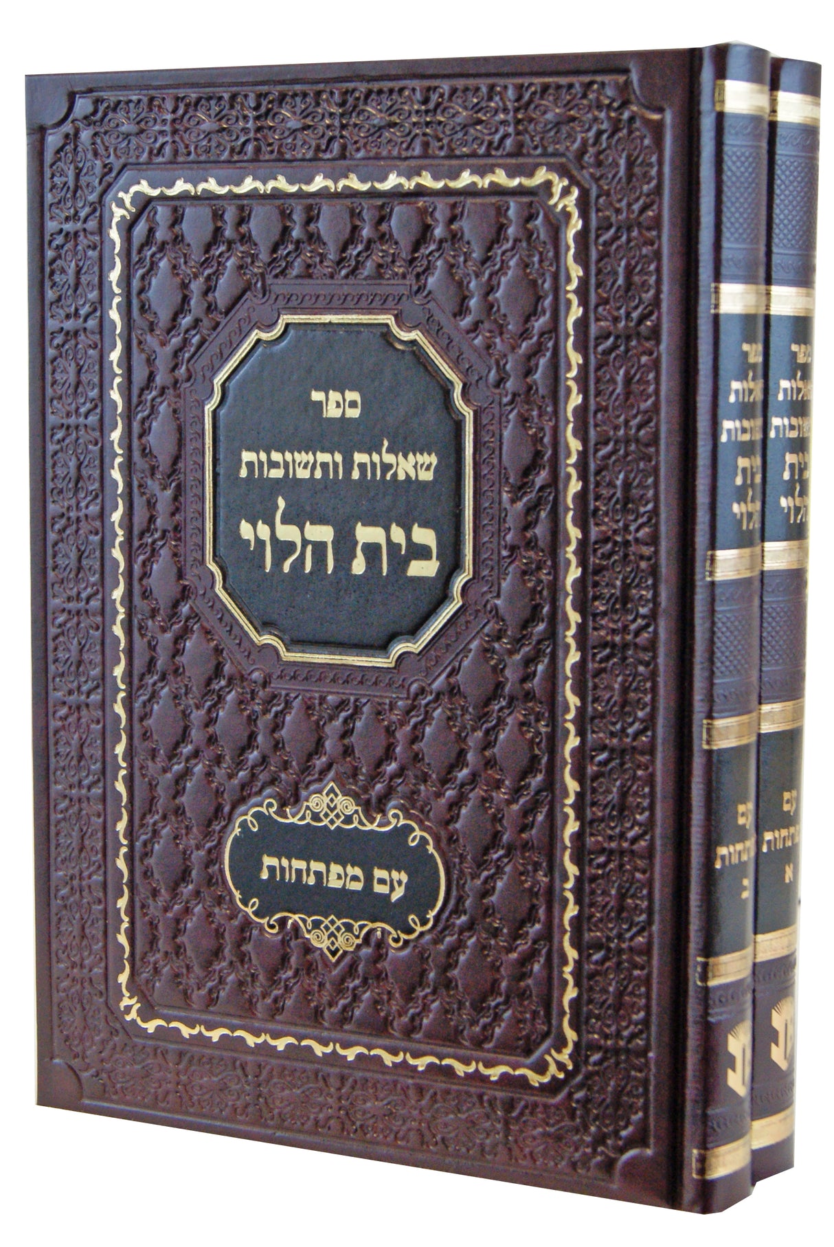 בית הלוי שו"ת עם מפתחות ב' כרכים - מהדורת ב.ב