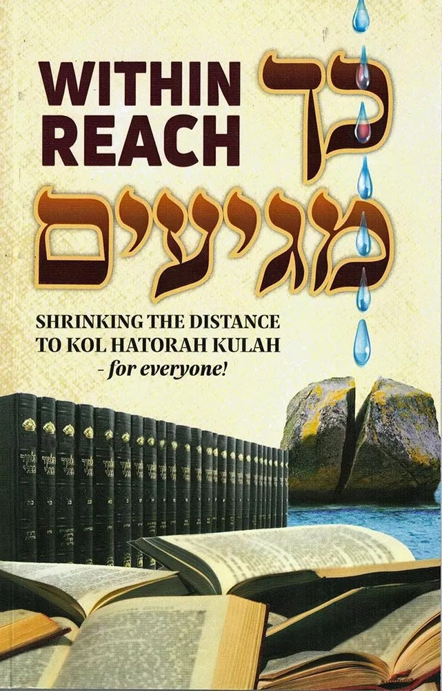 Within Reach כך מגיעים Paperback