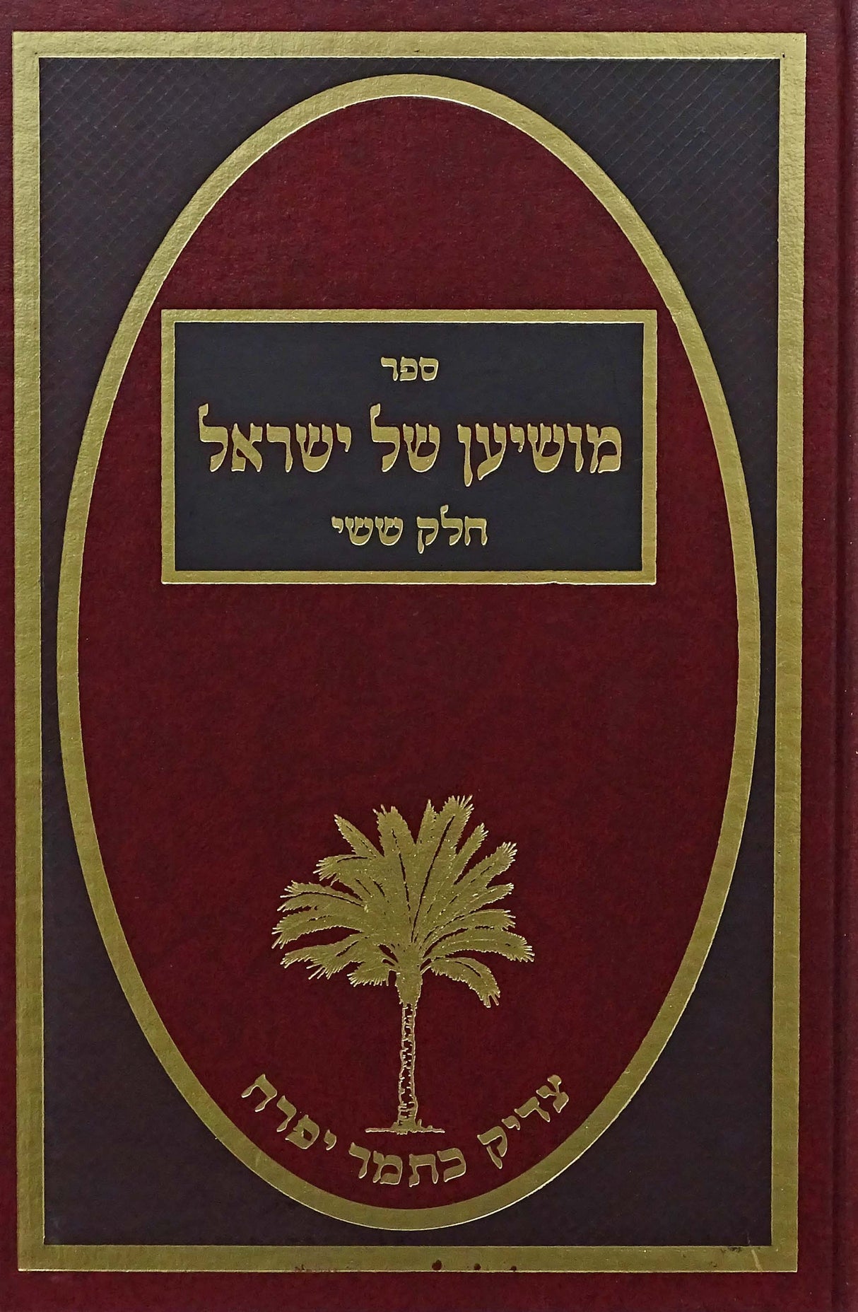 מושיען של ישראל חלק ו - תולדות רביה"ק מסאטמאר