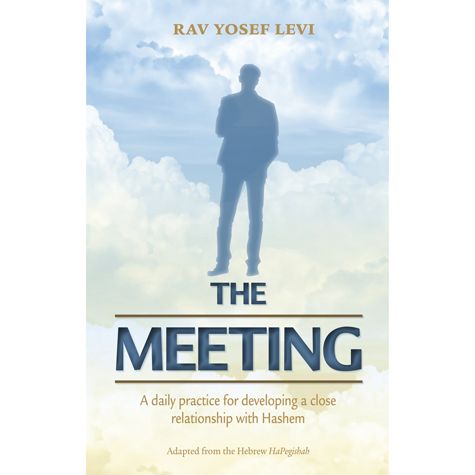 The Meeting - Paperback