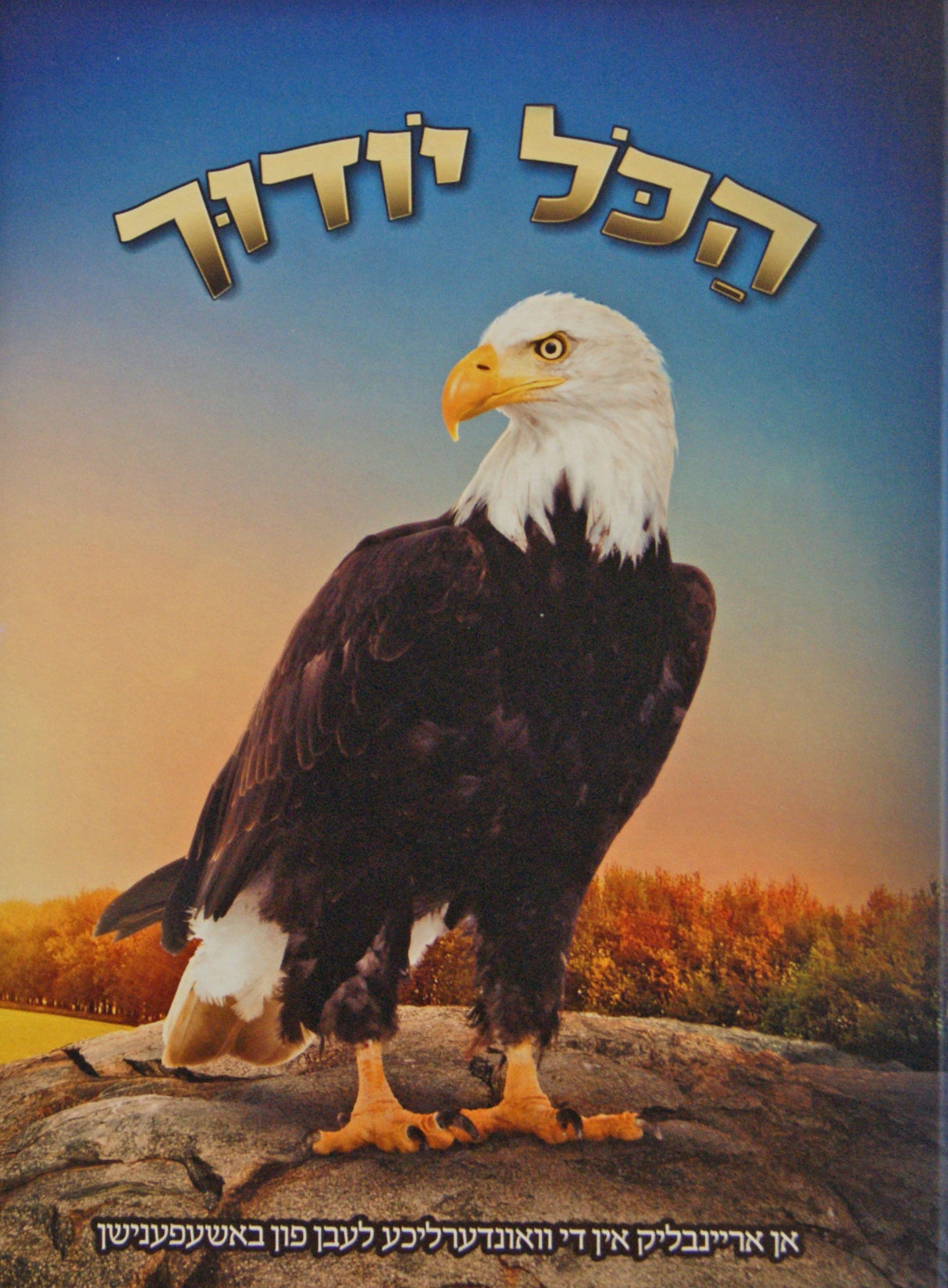 הכל יודוך חלק ב (נשר) - אידיש